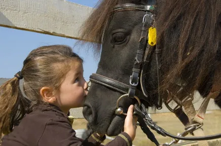 Ein Mädchen mit Pferdeschwanz steht nah vor einem dunkelbraunen Pony mit Zaumzeug und berührt sanft dessen Nase in einer zärtlichen Geste.