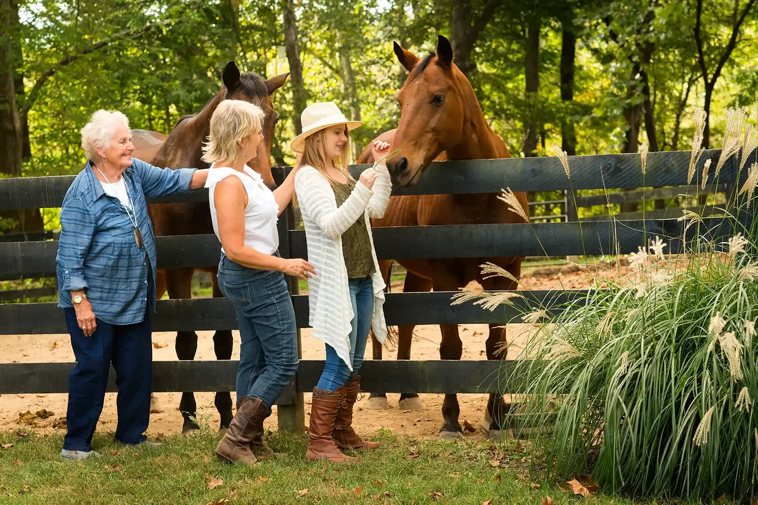 Drei Generationen von Frauen stehen an einem Holzzaun und streicheln zwei braune Pferde in einer sonnigen, grünen Waldlandschaft.
