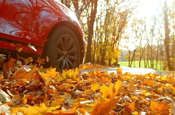 Rotes Auto parkt auf herbstlichem Waldweg mit goldenen Blättern, umgeben von Bäumen im warmen Sonnenlicht.