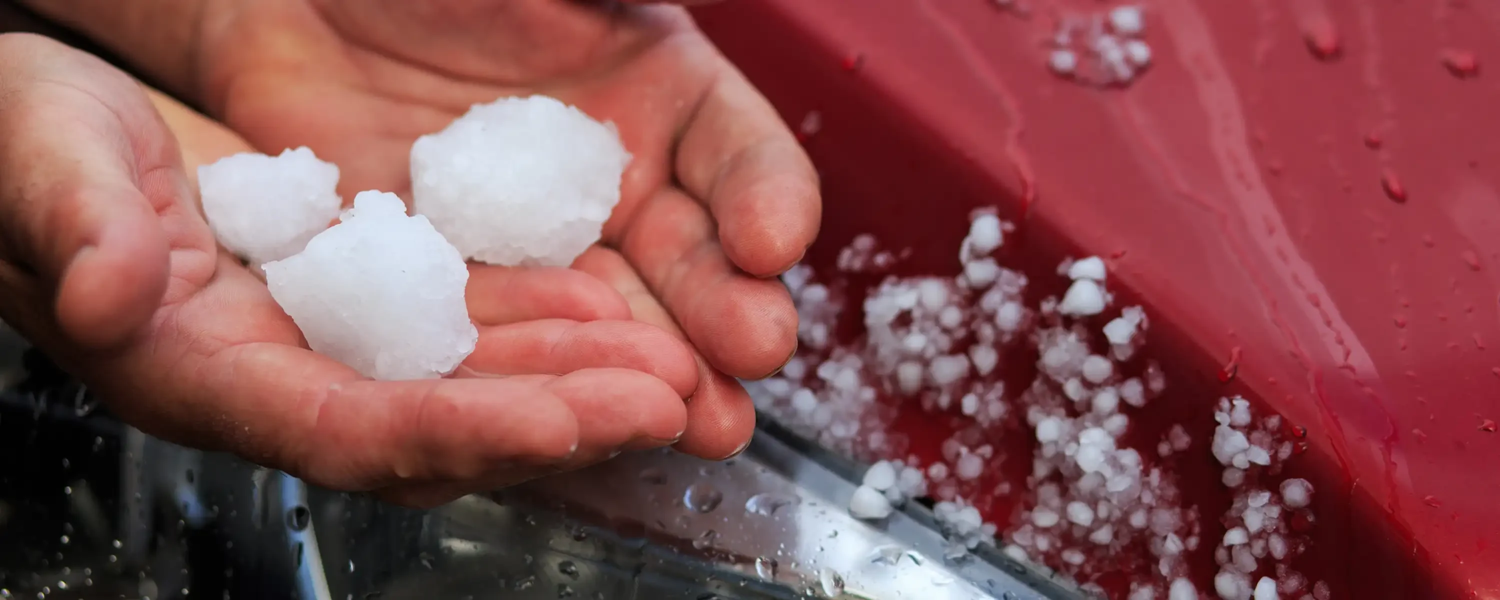 S-Direkt-Ratgeber: Hagelschaden